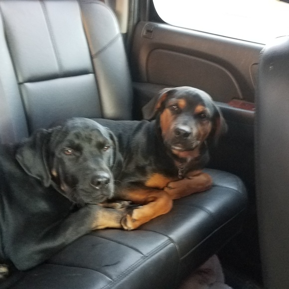 Meet your Posher, N - Picture 4 of 8